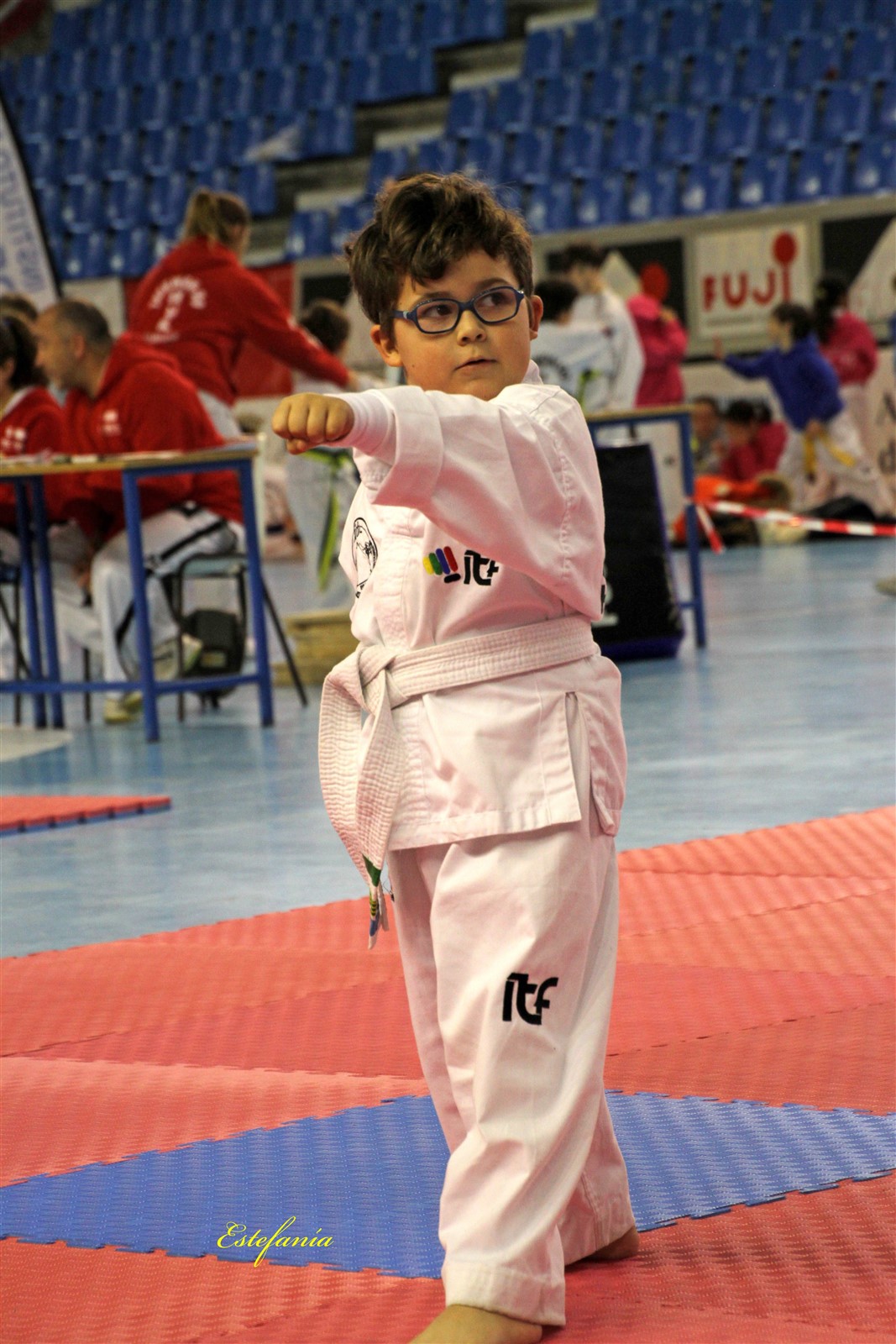 Taekwondo (101).jpg